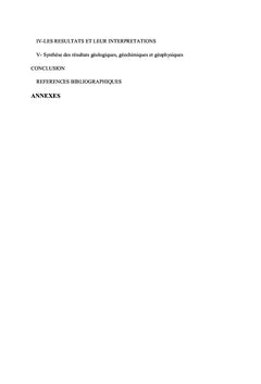 Réinterprétation des données magnétiques et géochimiques