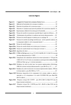Etude Numerique de la Stabilite Magnetohydrodynamique