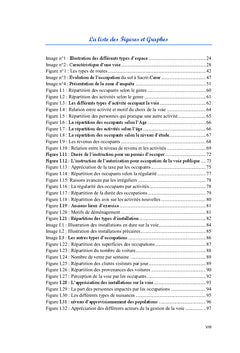 Problematiques de l'occupation et de la gestion de l'espace public