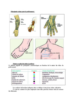 Guide des analyses biologiques