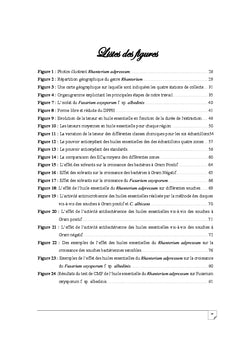 Valorisation des huiles essentielles de Rhanterium adpressum Algerien