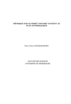 Metrique sur le fibre unitaire tangent au plan hyperbolique