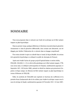 Metrique sur le fibre unitaire tangent au plan hyperbolique