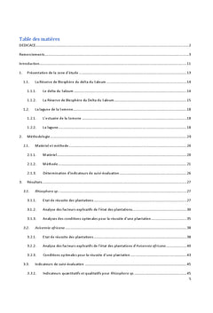 Etat actuel du reboisement de la mangrove