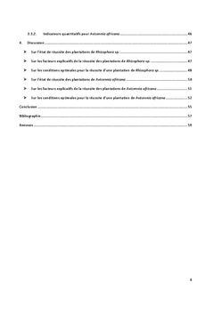 Etat actuel du reboisement de la mangrove