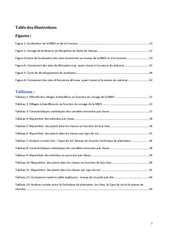 Etat actuel du reboisement de la mangrove