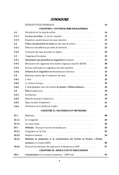 Nouvelle approche de traitement des eaux de surface: