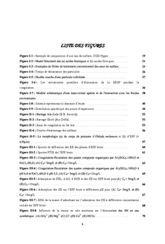 Nouvelle approche de traitement des eaux de surface: