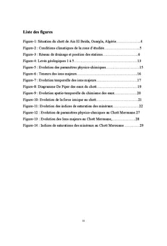 Action anthropique et dysfonctionnement des Zones Humides Bas Sahara