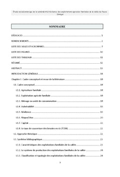 Etude socio-economique de la vulnerabilite/ resilience
