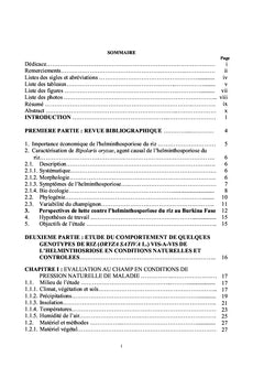 Helminthosporiose du riz au Burkina Faso
