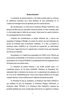 Helminthosporiose du riz au Burkina Faso