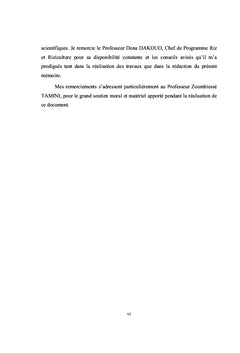 Helminthosporiose du riz au Burkina Faso