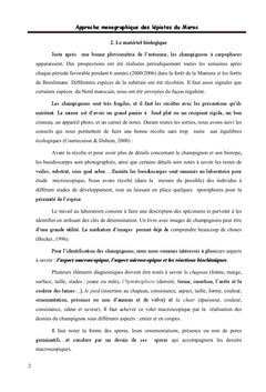 Approche Monographique des ?Lepiotes du ?Maroc