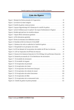 Controle de gestion et Valeur partenariale des eMF au Cameroun