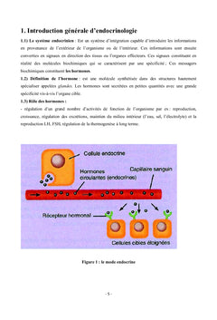 Les Hormones "Physiologie et Régulation"