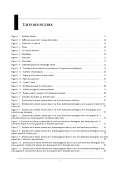 Simulation numerique du processus de remodelàge osseux