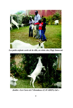 Lait de ChEvre et son Fromage: