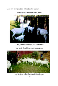 Lait de ChEvre et son Fromage:
