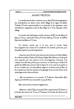 Gîtologie et metallogenie de l'extreme Nord-Ouest de la Tunisie