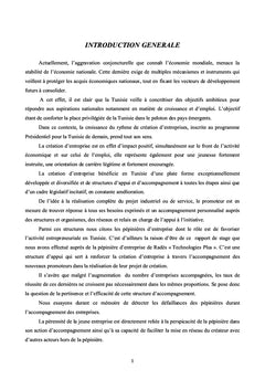 Le Rôle de la pépinières d'entreprise dans l'action entrepreneuriale