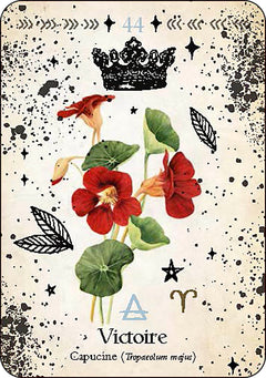 Oracle de la magie verte - Découvrez les vrais secrets de la magie botanique