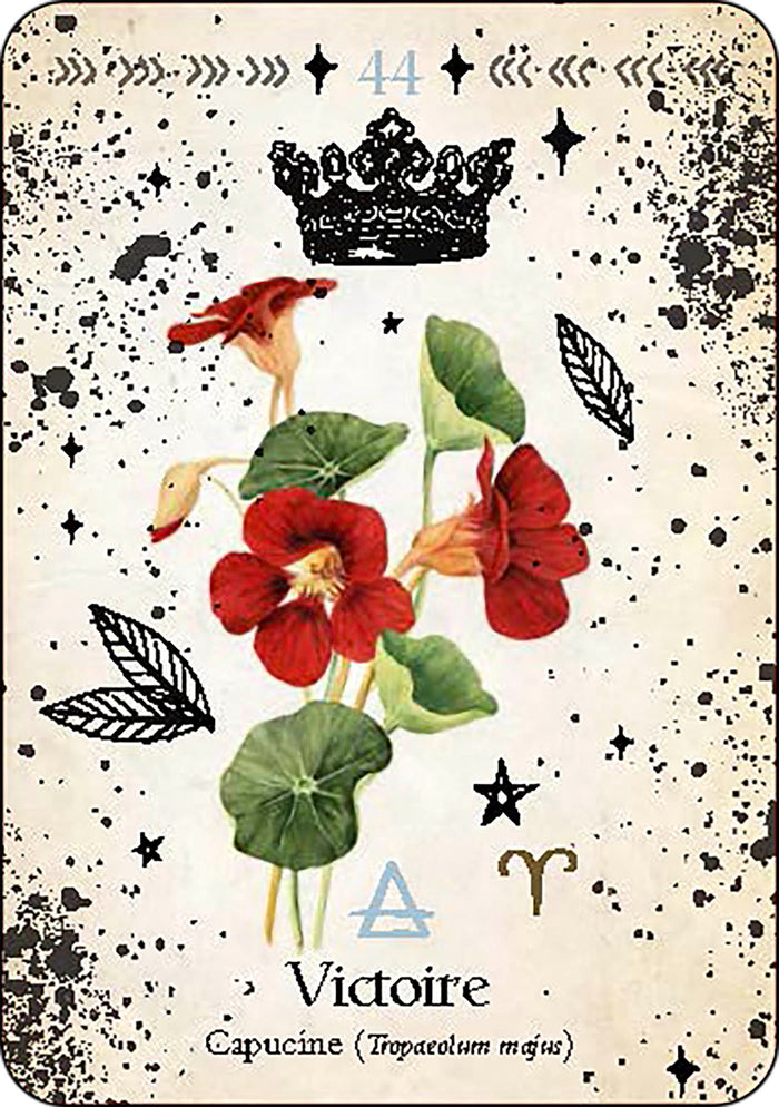 Oracle de la magie verte - Découvrez les vrais secrets de la magie botanique