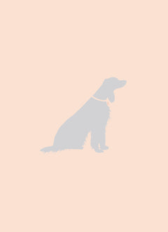 Soigner son chien grâce à ses chakras - Soins énergétiques pour un chien heureux et en bonne santé