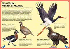 Guide des oiseaux du monde