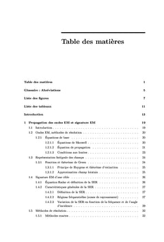 Signature electromagnetique d'une cible complexe