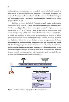 La lithiase urinaire de l'est Algerien: etudes preliminaires
