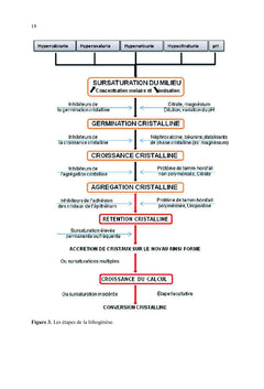 La lithiase urinaire de l'est Algerien: etudes preliminaires