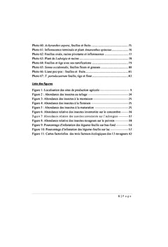 Les ennemis des cultures dans les bassins de production de Mahajanga, Madagascar