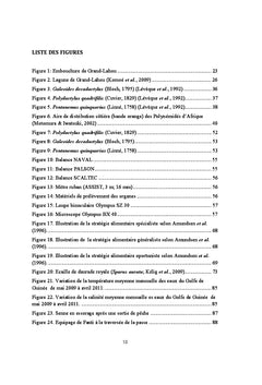 Biologie et peche des poissons capitaines du littoral de cote d'ivoire