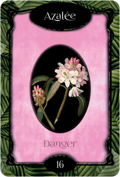 L'oracle des fleurs