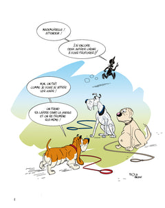 Tibod Dog sitter - Bon, on se promène ?