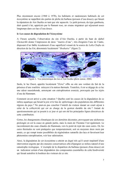 Biodiversite d'Ain Ouerka