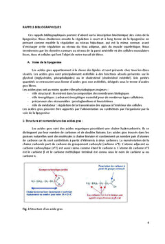 Lipogenese de la paroi arterielle