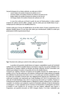 Lipogenese de la paroi arterielle