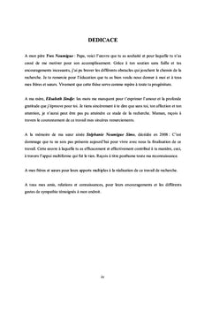 Le differentiel de financement entre Pe et Me au Cameroun
