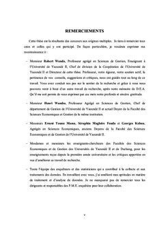 Le differentiel de financement entre Pe et Me au Cameroun