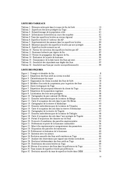 Contribution A la gestion des feux de vegetation
