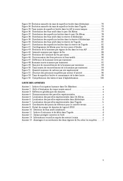 Contribution A la gestion des feux de vegetation