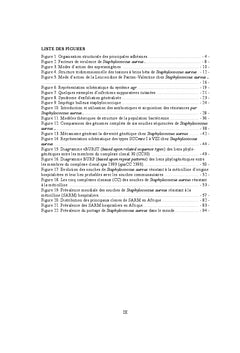 Epide?miologie moleculaire de Staphylococcus aureus en Afrique