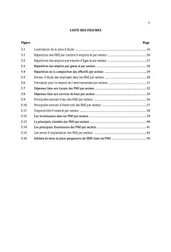 Management environnemental des PME/PMI