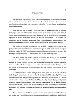 Management environnemental des PME/PMI