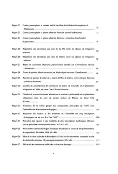 Adventice en culture de palmier A huile (cote d'Ivoire)