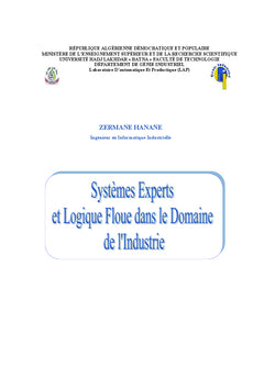 Les systemes experts flous dans le domaine de l'industrie
