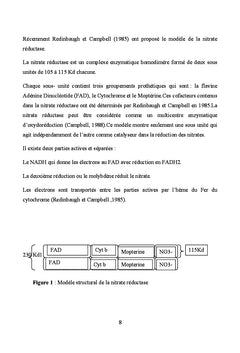 La contrainte hydrique