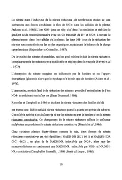 La contrainte hydrique
